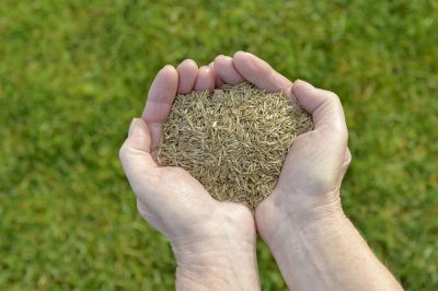 Commercial Lawn Care