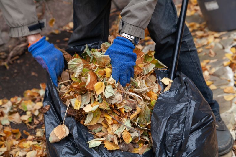 Team Performing Leaf Collection
