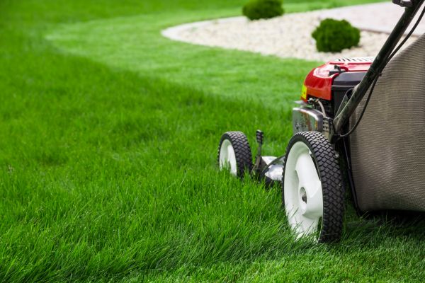 Mowing Service in Champaign