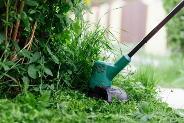 Weed Whacking in Champaign