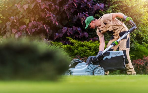 Yard Care Service in Champaign