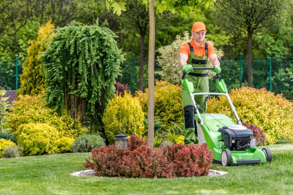 Yard Service in Champaign