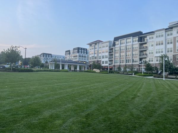 Urban Lawn Care in Champaign