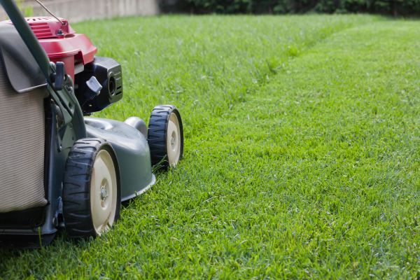 Summer Lawn Care in Champaign