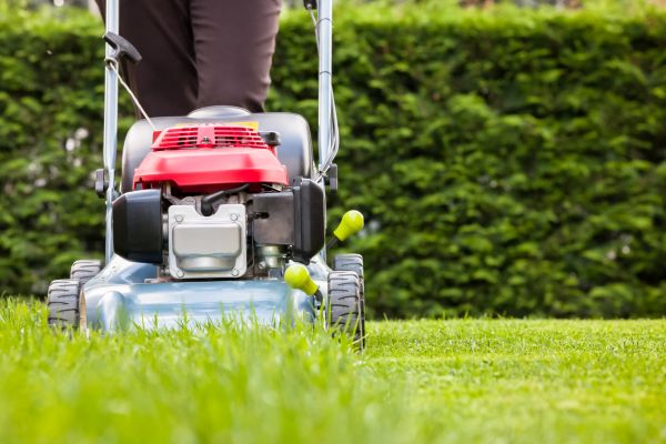 Grass Trimming Service in Champaign