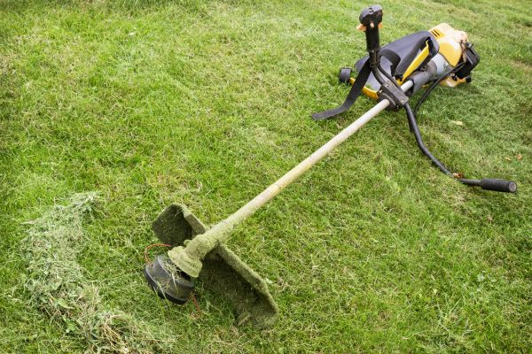 Hillside Weed Whacking in Champaign