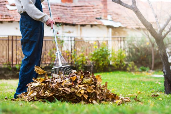 Routine Lawn Maintenance in Champaign
