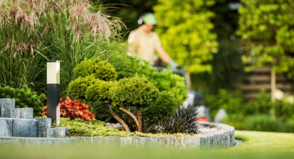 Residential Yard Maintenance in Champaign