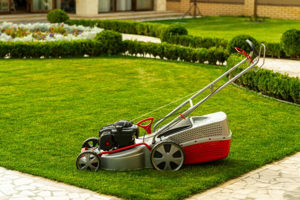 Business Grass Cutting in Champaign