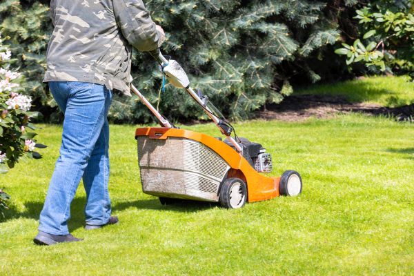 Springtime Lawn Care in Champaign