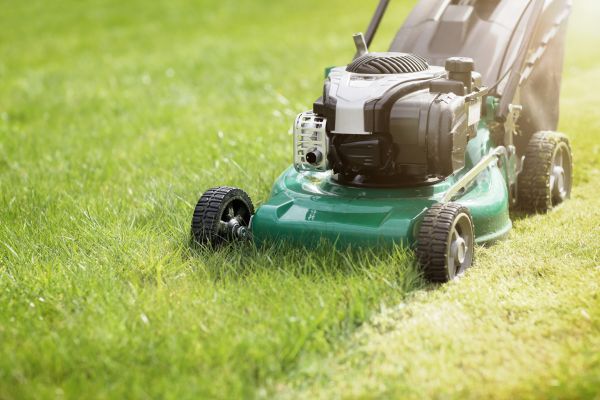 Spring Grass Trimming in Champaign
