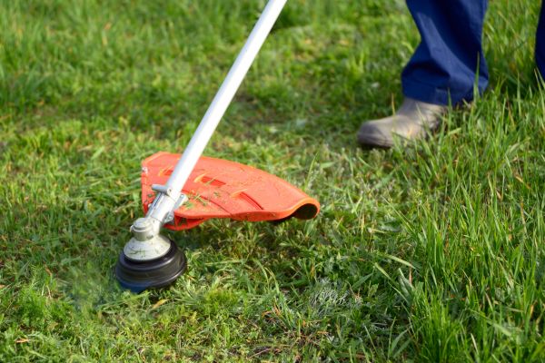Lawn Weed Whacking in Champaign